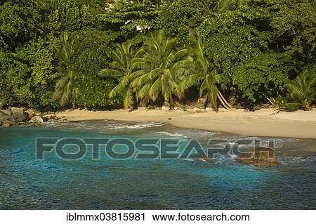 "Beach, Beau Vallon, Mahe, Seychelles, Africa" View Large Photo Image Stock Image - "Beach, Beau Vallon, Mahe, Seychelles, Africa". Fotosearch