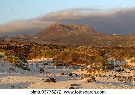"Beach, behind a crater, Caleta del Mojon Blanco, Lanzarote, Canary Islands, Spain, Europe" View Large Photo Image Stock Image - "Beach, behind a crater, Caleta del Mojon Blanco, Lanzarote, Canary Islands, Spain, Europe". Fotosearch
