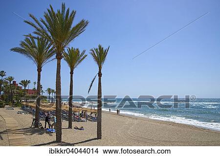 Picture - "Beach, Benalmadena Costa, Costa del Sol, Andalusia, Spain, Europe". Fotosearch