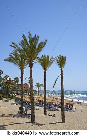 "Beach, Benalmadena Costa, Costa del Sol, Andalusia, Spain, Europe" View Large Photo Image Stock Photography - "Beach, Benalmadena Costa, Costa del Sol, Andalusia, Spain, Europe". Fotosearch
