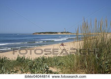 "Beach, Cabo de Trafalgar, Los Canos de Meca, Costa de la Luz, Andalusia, Spain, Europe" View Large Photo Image Picture - "Beach, Cabo de Trafalgar, Los Canos de Meca, Costa de la Luz, Andalusia, Spain, Europe". Fotosearch