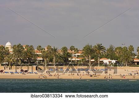 "Beach, Caleta de Fuste, Fuerteventura, Canary Islands, Spain, Europe" View Large Photo Image Picture - "Beach, Caleta de Fuste, Fuerteventura, Canary Islands, Spain, Europe". Fotosearch