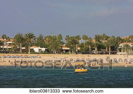 "Beach, Caleta de Fuste, Fuerteventura, Canary Islands, Spain, Europe" View Large Photo Image Stock Image - "Beach, Caleta de Fuste, Fuerteventura, Canary Islands, Spain, Europe". Fotosearch