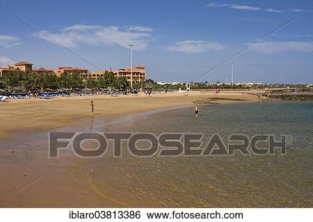 Stock Photograph - "Beach, Caleta de Fuste, Fuerteventura, Canary Islands, Spain, Europe". Fotosearch