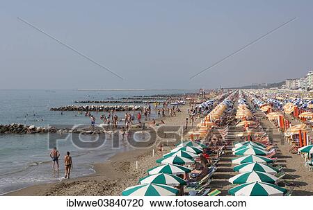"Beach, Caorle, Adriatic, Province of Venice, Italy, Europe" View Large Photo Image Stock Image - "Beach, Caorle, Adriatic, Province of Venice, Italy, Europe". Fotosearch