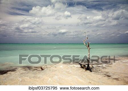 Stock Photography - "Beach, Cayo Levisa, Pinar del Rio Province, Cuba, North America". Fotosearch