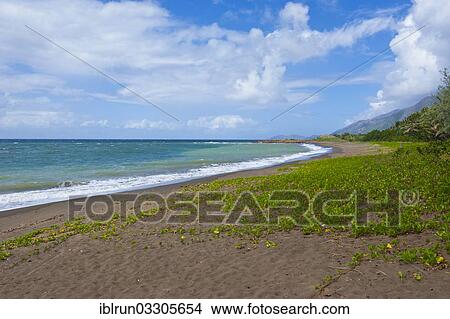 "Beach, coastline, Grande Terre, New Caledonia, France, Oceania" View Large Photo Image Picture - "Beach, coastline, Grande Terre, New Caledonia, France, Oceania". Fotosearch