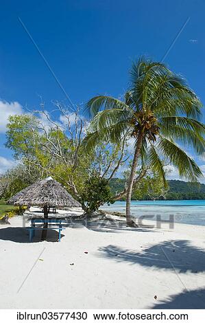 "Beach hut at Champagne Beach, Espiritu Santo, Sanma Province, Vanuatu, Oceania" View Large Photo Image Stock Image - "Beach hut at Champagne Beach, Espiritu Santo, Sanma Province, Vanuatu, Oceania". Fotosearch