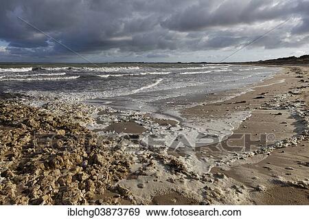 "Beach, Ile d'Oleron, Charente Maritime, Puy-de-Dome, Auvergne, France, Europe" View Large Photo Image Stock Photo - "Beach, Ile d'Oleron, Charente Maritime, Puy-de-Dome, Auvergne, France, Europe". Fotosearch