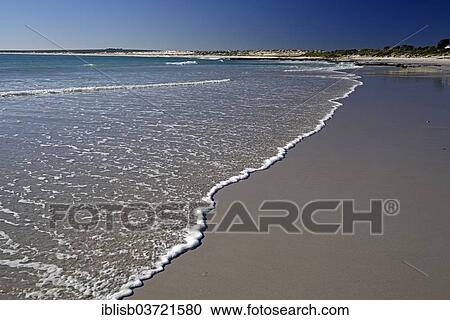 "Beach in Lamberts Bay, Lambert's Bay, Western Cape, South Africa, Africa" View Large Photo Image Stock Image - "Beach in Lamberts Bay, Lambert's Bay, Western Cape, South Africa, Africa". Fotosearch