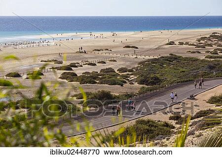 Stock Image - "Beach, Jandia Playa, Fuerteventura, Canary Islands, Spain, Europe". Fotosearch
