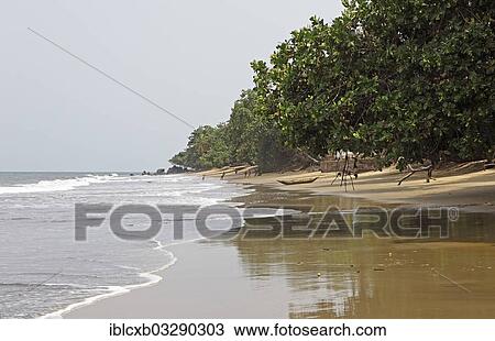 "Beach, Kribi, South Region, Cameroon, Africa" View Large Photo Image Stock Image - "Beach, Kribi, South Region, Cameroon, Africa". Fotosearch