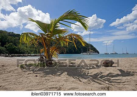 "Beach, Marigot Bay, Castries, Saint Lucia, North America" View Large Photo Image Stock Photography - "Beach, Marigot Bay, Castries, Saint Lucia, North America". Fotosearch