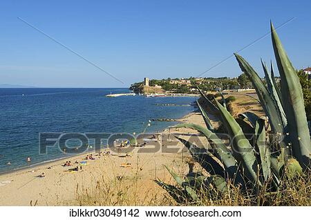 "Beach, Nea Fokea, Kassandra, Chalkidiki, Greece, Europe" View Large Photo Image Stock Image - "Beach, Nea Fokea, Kassandra, Chalkidiki, Greece, Europe". Fotosearch