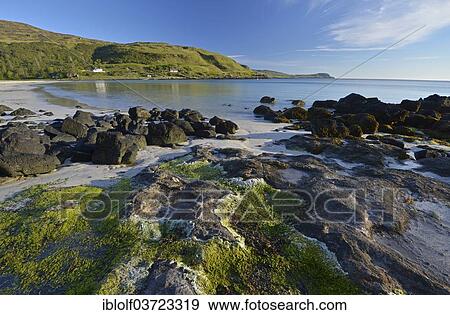 "Beach of Calgary Bay, Isle of Mull, Inner Hebrides, Argyll and Bute, Scotland, United Kingdom, Europe" View Large Photo Image Stock Photo - "Beach of Calgary Bay, Isle of Mull, Inner Hebrides, Argyll and Bute, Scotland, United Kingdom, Europe". Fotosearch