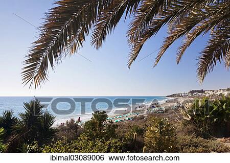 "Beach of Costa Calma, Costa Calma, Fuerteventura, Canary Islands, Spain, Europe" View Large Photo Image Stock Photograph - "Beach of Costa Calma, Costa Calma, Fuerteventura, Canary Islands, Spain, Europe". Fotosearch