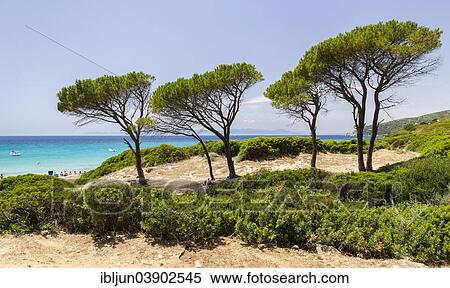 Stock Photography - "Beach of Mari Pintau, Geremeas, Quartu Sant'Elena, Campidano, Cagliari Province, Sardinia, Italy, Europe". Fotosearch