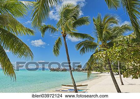 Picture - "Beach of Matira, Bora Bora, French Polynesia, Oceania". Fotosearch