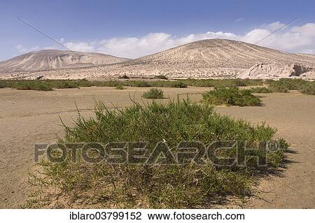 "Beach of Morro Jable, Jandia, Fuerteventura, Canary Islands, Spain, Europe" View Large Photo Image Stock Image - "Beach of Morro Jable, Jandia, Fuerteventura, Canary Islands, Spain, Europe". Fotosearch