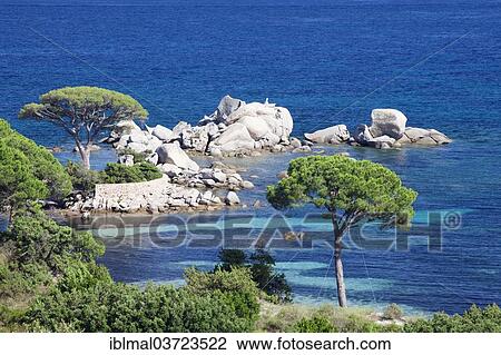 "Beach of Palombaggia, Palombaggia, Corsica, France, Europe" View Large Photo Image Stock Image - "Beach of Palombaggia, Palombaggia, Corsica, France, Europe". Fotosearch