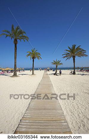 Picture - "Beach of Platja d'Alcudia, Alcudia, Majorca, Balearic Islands, Spain, Europe". Fotosearch