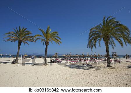 Stock Image - "Beach of Platja d'Alcudia, Alcudia, Majorca, Balearic Islands, Spain, Europe". Fotosearch