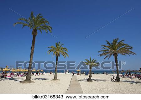 "Beach of Platja d'Alcudia, Alcudia, Majorca, Balearic Islands, Spain, Europe" View Large Photo Image Stock Image - "Beach of Platja d'Alcudia, Alcudia, Majorca, Balearic Islands, Spain, Europe". Fotosearch