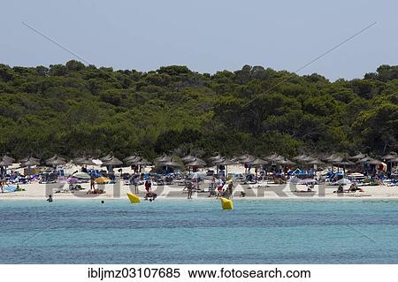 Stock Photography - "Beach of Platja Es Trenc, Colonia de Sant Jordi, Mallorca, Majorca, Balearic Islands, Spain, Europe". Fotosearch