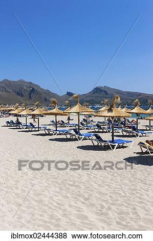 "Beach of Port de Pollenca, Cala Sant Vicenc, Pollenca, Mallorca, Majorca, Balearic Islands, Spain, Europe" View Large Photo Image Stock Photo - "Beach of Port de Pollenca, Cala Sant Vicenc, Pollenca, Mallorca, Majorca, Balearic Islands, Spain, Europe". Fotosearch