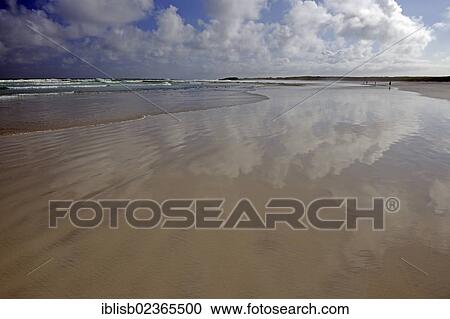 Stock Image - "Beach of Tortuga Bay in the evening, Santa Cruz Island, Galapagos Islands, UNESCO World Natural Heritage Site, Ecuador, South America". Fotosearch