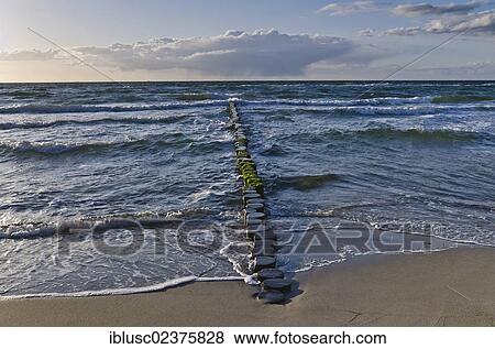 Stock Photo - "Beach on the Baltic Sea coast near Ahrenshoop, Mecklenburg-Western Pomerania, Germany, Europe". Fotosearch