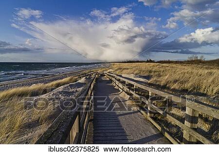 "Beach on the Baltic Sea coast near Ahrenshoop, Mecklenburg-Western Pomerania, Germany, Europe" View Large Photo Image Stock Photography - "Beach on the Baltic Sea coast near Ahrenshoop, Mecklenburg-Western Pomerania, Germany, Europe". Fotosearch