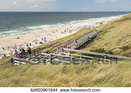 "Beach on the coast between Westerland and Kampen, Sylt, Schleswig-Holstein, Germany, Europe" View Large Photo Image Picture - "Beach on the coast between Westerland and Kampen, Sylt, Schleswig-Holstein, Germany, Europe". Fotosearch