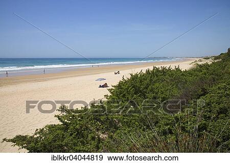 "Beach, Playa de la Barrosa, near Novo Sancti Petri, Costa de la Luz, Andalusia, Spain, Europe" View Large Photo Image Stock Photo - "Beach, Playa de la Barrosa, near Novo Sancti Petri, Costa de la Luz, Andalusia, Spain, Europe". Fotosearch