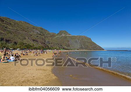 "Beach Playa de Las Teresitas, El Roque at the back, San Andres, Santa Cruz de Tenerife, Tenerife, Canary Islands, Spain, Europe" View Large Photo Image Stock Photo - "Beach Playa de Las Teresitas, El Roque at the back, San Andres, Santa Cruz de Tenerife, Tenerife, Canary Islands, Spain, Europe". Fotosearch