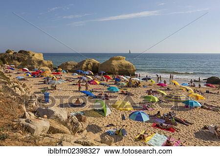 "Beach Praia da Gale, Albufeira, Algarve, Portugal, Europe" View Large Photo Image Stock Photo - "Beach Praia da Gale, Albufeira, Algarve, Portugal, Europe". Fotosearch