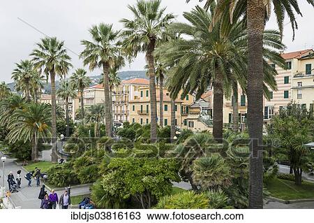 "Beach promenade lined with palm trees, Varazze, Province of Savona, Liguria, Italy, Europe" View Large Photo Image Stock Image - "Beach promenade lined with palm trees, Varazze, Province of Savona, Liguria, Italy, Europe". Fotosearch