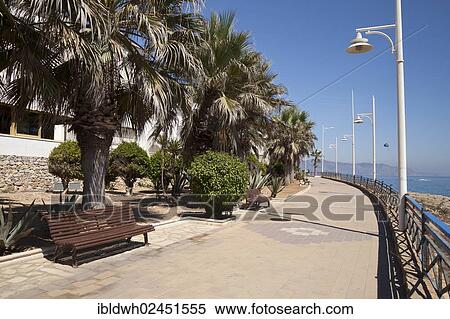 "Beach promenade lined with palm trees, Nerja, Costa del Sol, Andalusia, Spain, Europe, PublicGround, Europe" View Large Photo Image Stock Photography - "Beach promenade lined with palm trees, Nerja, Costa del Sol, Andalusia, Spain, Europe, PublicGround, Europe". Fotosearch