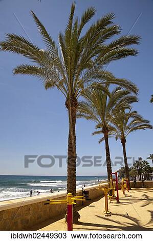 "Beach promenade, Marbella, Costa del Sol, Andalusia, Spain, Europe, PublicGround, Europe" View Large Photo Image Stock Image - "Beach promenade, Marbella, Costa del Sol, Andalusia, Spain, Europe, PublicGround, Europe". Fotosearch