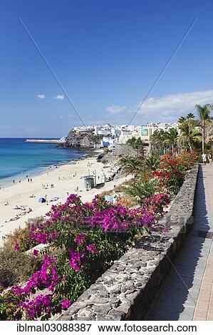 "Beach promenade, Morro Jable, Fuerteventura, Canary Islands, Spain, Europe" View Large Photo Image Stock Photo - "Beach promenade, Morro Jable, Fuerteventura, Canary Islands, Spain, Europe". Fotosearch