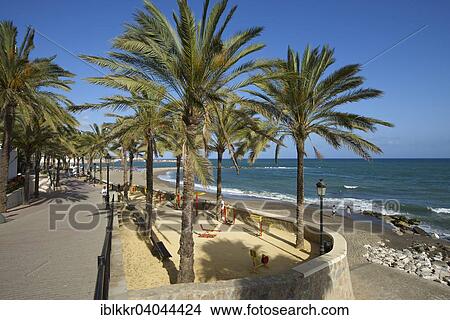 "Beach promenade Paseo Maritimo, Marbella, Costa del Sol, Andalucia, Spain, Europe" View Large Photo Image Picture - "Beach promenade Paseo Maritimo, Marbella, Costa del Sol, Andalucia, Spain, Europe". Fotosearch