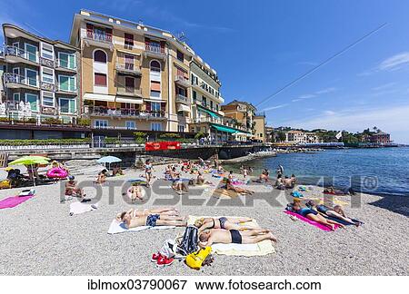 "Beach, Rapallo, seaside resort on the Gulf of Genoa, Italian Riviera, Liguria, Italy, Europe" View Large Photo Image Stock Photo - "Beach, Rapallo, seaside resort on the Gulf of Genoa, Italian Riviera, Liguria, Italy, Europe". Fotosearch