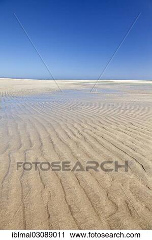 "Beach, Risco del Paso, Fuerteventura, Canary Islands, Spain, Europe" View Large Photo Image Stock Image - "Beach, Risco del Paso, Fuerteventura, Canary Islands, Spain, Europe". Fotosearch