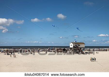 "Beach, St Peter-Ording, North Frisia, Schleswig-Holstein, Germany, Europe" View Large Photo Image Picture - "Beach, St Peter-Ording, North Frisia, Schleswig-Holstein, Germany, Europe". Fotosearch