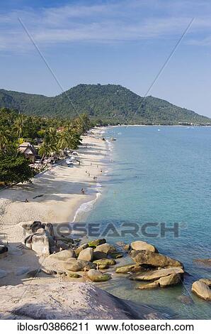 "Beach with palm trees, Lamai Beach, Ko Samui, Thailand, Asia" View Large Photo Image Stock Image - "Beach with palm trees, Lamai Beach, Ko Samui, Thailand, Asia". Fotosearch