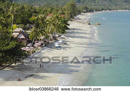 "Beach with palm trees, Lamai Beach, Ko Samui, Thailand, Asia" View Large Photo Image Stock Photo - "Beach with palm trees, Lamai Beach, Ko Samui, Thailand, Asia". Fotosearch