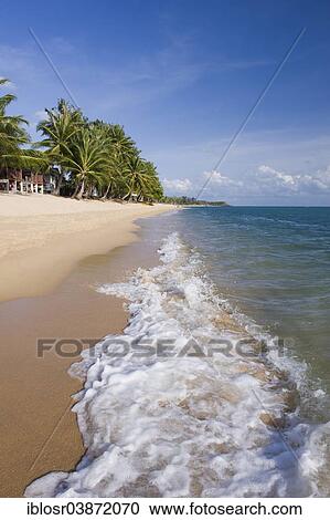 "Beach with palm trees, Mae Nam Beach, Ko Samui, Thailand, Asia" View Large Photo Image Stock Image - "Beach with palm trees, Mae Nam Beach, Ko Samui, Thailand, Asia". Fotosearch