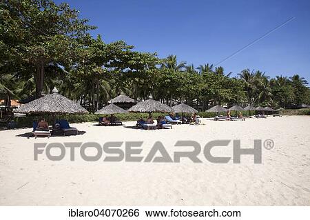 "Beach with palm umbrellas at the Saigon Mui Ne Resort, Mui Ne, Vietnam, Asia" View Large Photo Image Stock Photograph - "Beach with palm umbrellas at the Saigon Mui Ne Resort, Mui Ne, Vietnam, Asia". Fotosearch