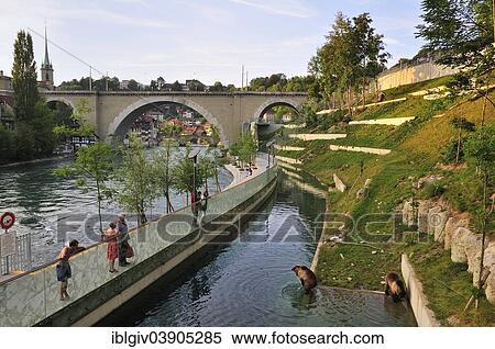 "Bears in the new outdoor enclosure on the river Aare, Barengraben trench and Nydeggbrucke bridge, Bern, Canton of Bern, Switzerland, Europe" View Large Photo Image Stock Photography - "Bears in the new outdoor enclosure on the river Aare, Barengraben trench and Nydeggbrucke bridge, Bern, Canton of Bern, Switzerland, Europe". Fotosearch