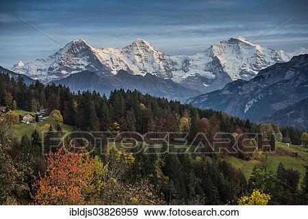 "Beatenberg, view towards the mountains of Eiger, Monch and Jungfrau, Bernese Oberland, Canton of Bern, Switzerland, Europe" View Large Photo Image Stock Photo - "Beatenberg, view towards the mountains of Eiger, Monch and Jungfrau, Bernese Oberland, Canton of Bern, Switzerland, Europe". Fotosearch